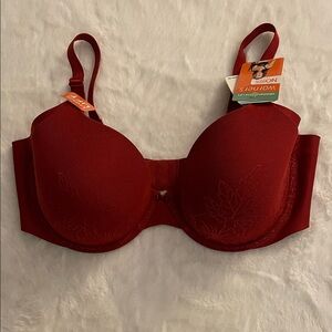 Warners Women's Brick Red Bra SZ 38C